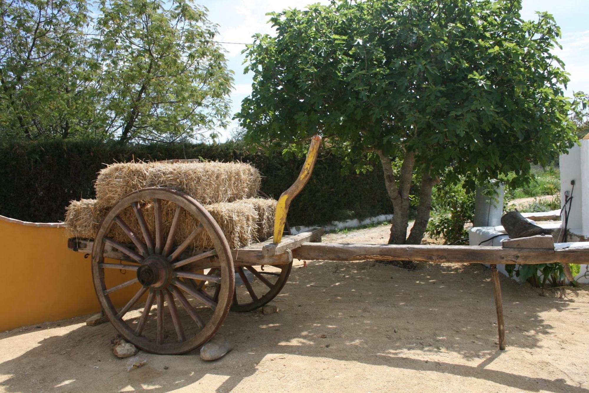 Hacienda Los Majadales Conil De La Frontera Buitenkant foto