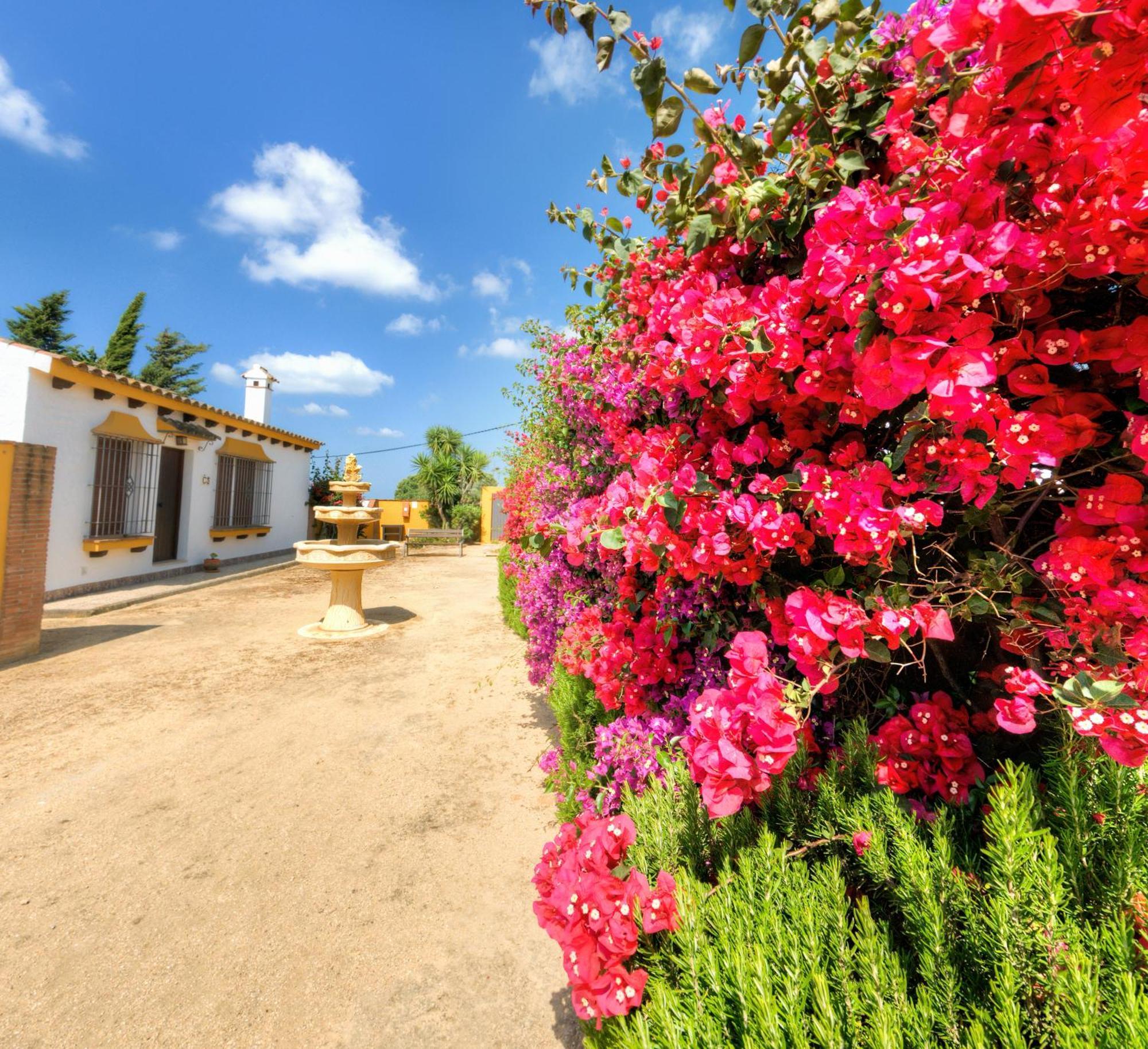 Hacienda Los Majadales Conil De La Frontera Buitenkant foto